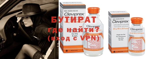 шишки Бронницы