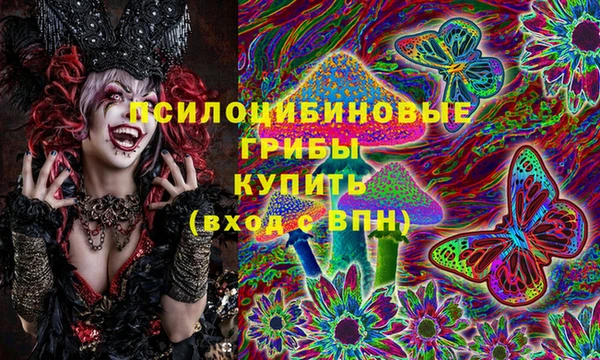 шишки Бронницы