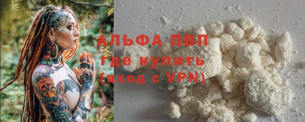 шишки Бронницы