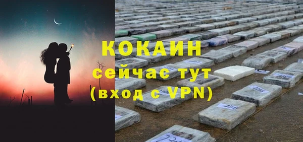 бошки Бородино
