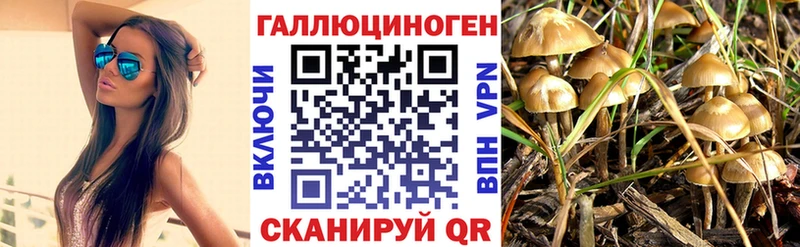 купить   Белгород  Псилоцибиновые грибы мухоморы 
