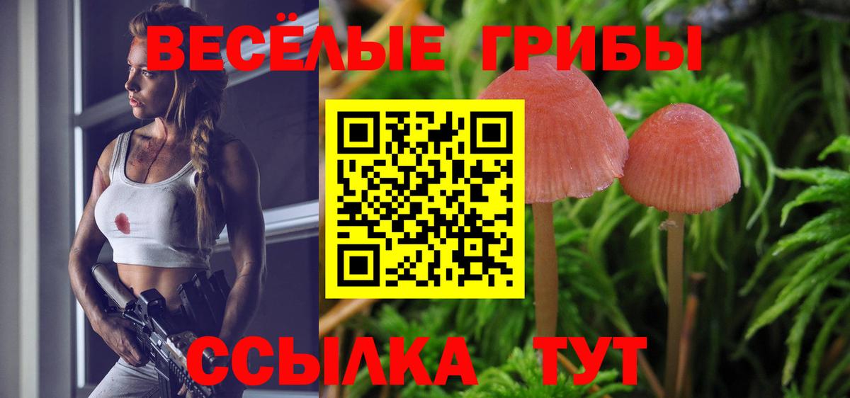 Галлюциногенные грибы Psilocybine cubensis Белгород